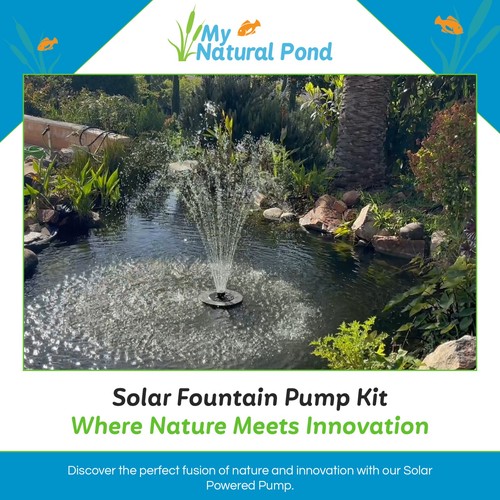 Natural pond floating - my,
